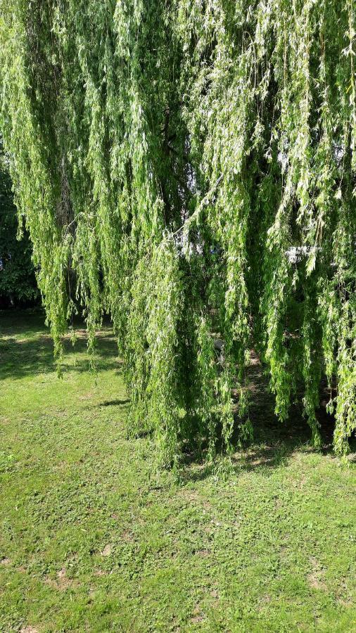 Le Pas Sage Bed & Breakfast La Caillere-Saint-Hilaire ภายนอก รูปภาพ